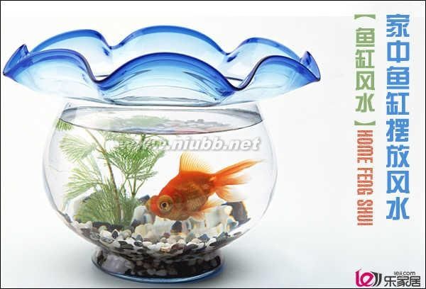 家中鱼缸的摆放位置有什么讲究_鱼缸的摆放位置