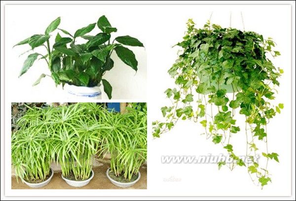 家庭装修风水禁忌20例_室内装修风水禁忌