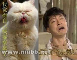 经典一句话搞笑语录：问世间情为何物，只叫人拖去衣裤。