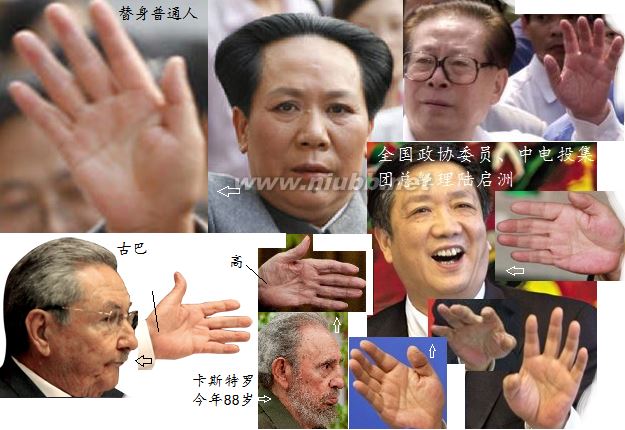 长寿人的手相面相（实图）