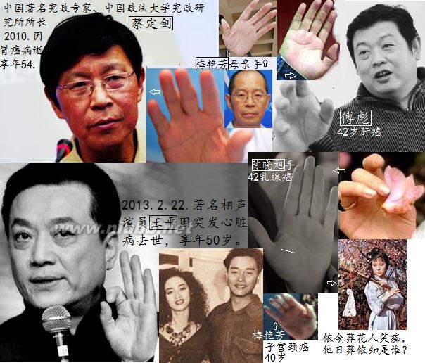 长寿人的手相面相（实图）