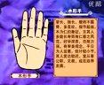 手相面相观人专集——标准手诊图