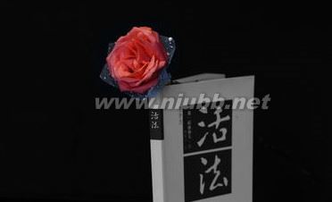 《活法》读后感_《活法》