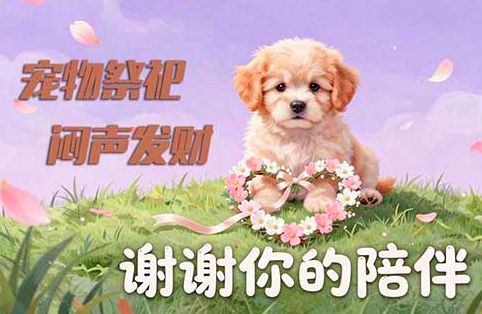 宠物祭祀，在小红书上有一门你不了解的发财生意。